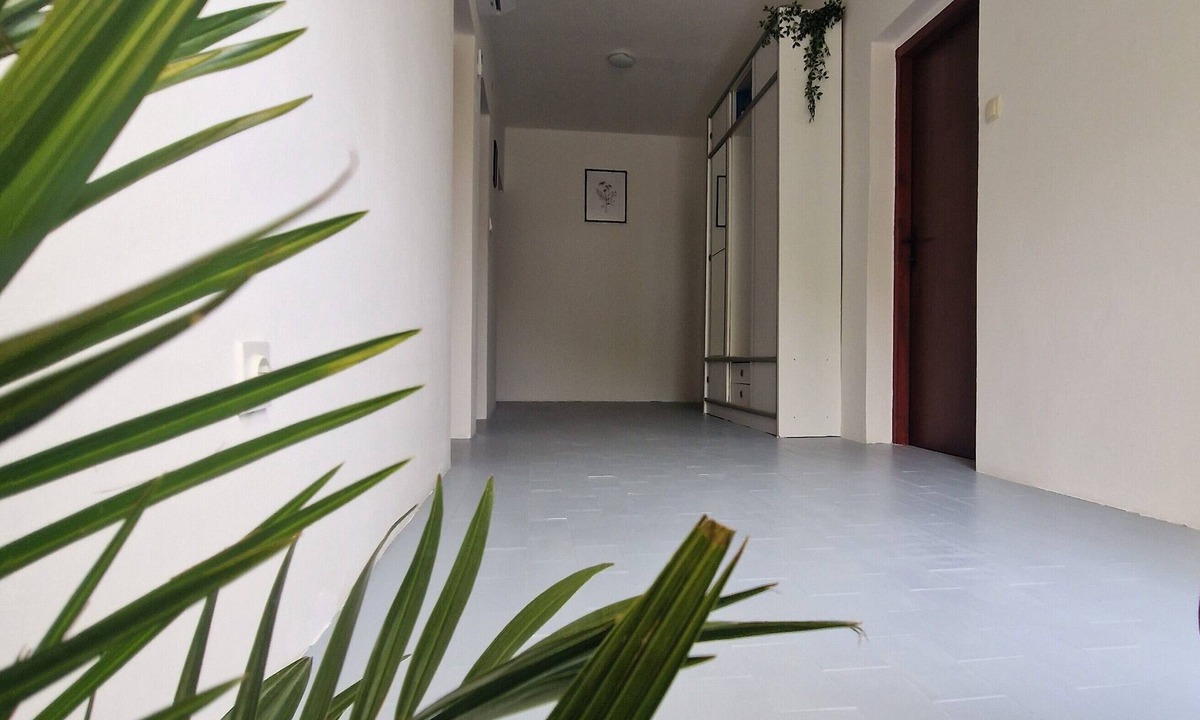 Vidovac Cesaricki Apartment | Apartman The View