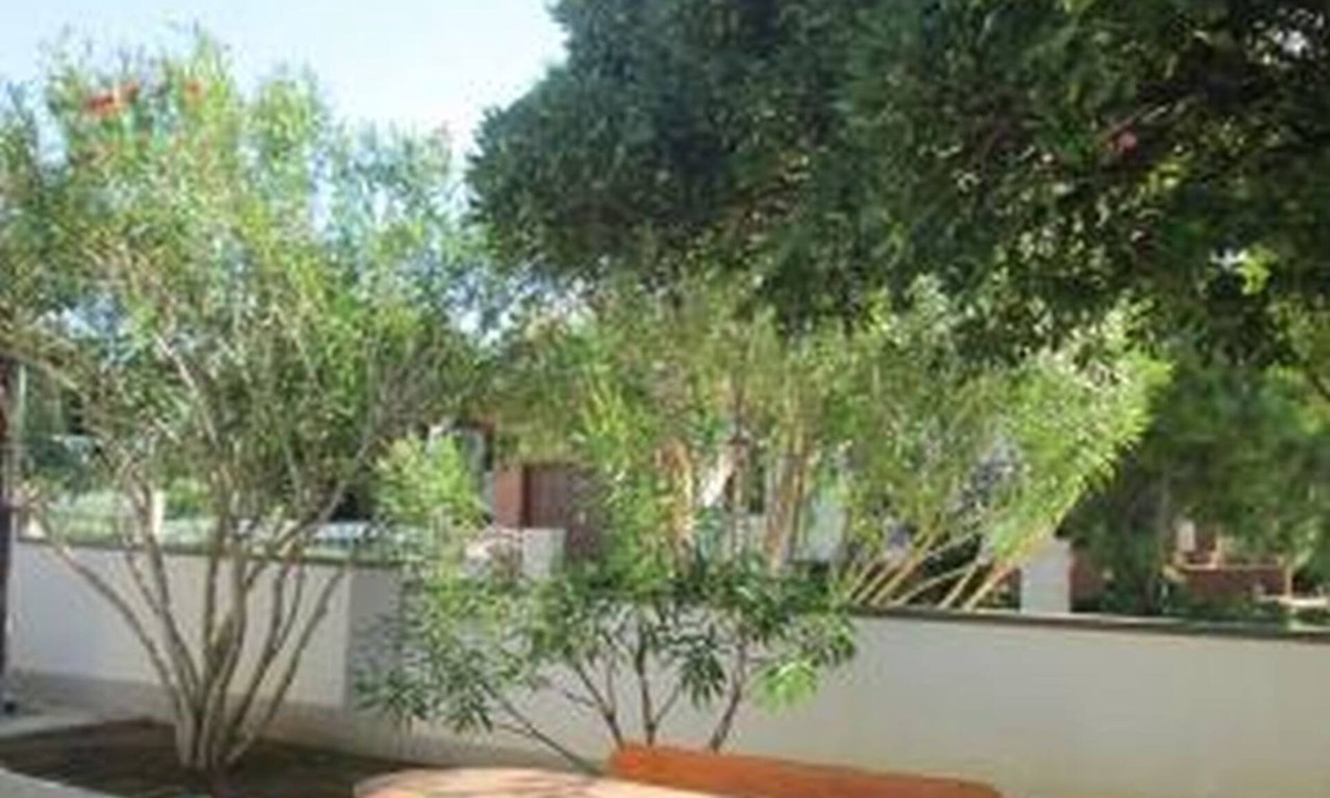 Nin Apartment | House Adria Sabunike - Apartment Fisherman's hut