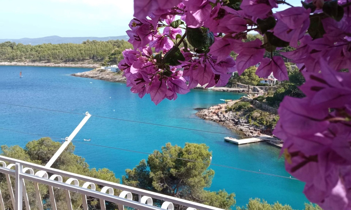 Vrbanj Apartment | Three bedroom apartment with terrace and sea view Basina, Hvar (A-4620-a)