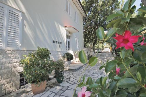Split Apartment | Villa Martinis