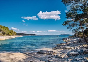 35 m² Apartment ∙ 1 bedroom ∙ 3 guests