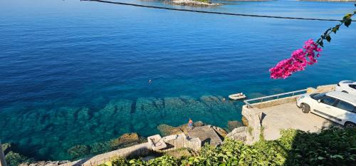 Molunat Apartment | Apartments Komaic