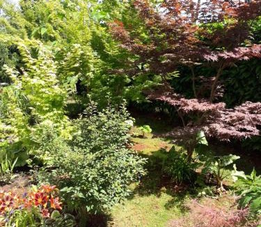 Zambratija Apartment | Apartman Igor