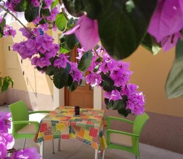Nerezine Apartment | Apartman Mi