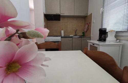 Vela Glavica Apartment | Apartments Ante