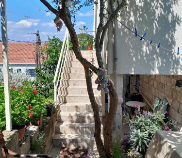 Prozurska Luka Apartment | Apartments by the sea Prozurska Luka, Mljet - 4939