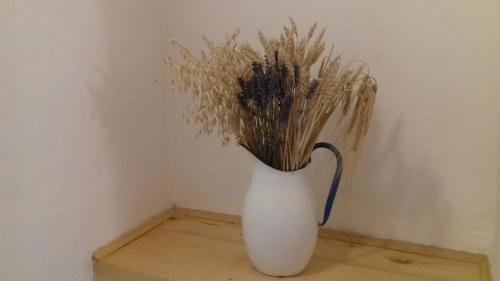 Burici Apartment | Authentic Istria&pet friendly apartment Banko near Rovinj