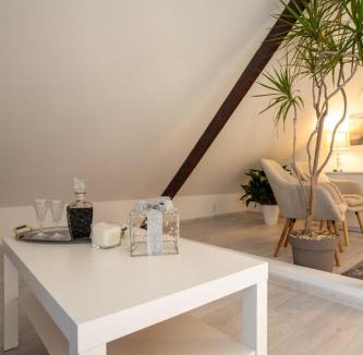 Borovo Apartment | Chic Palace - Boutique studio apartment