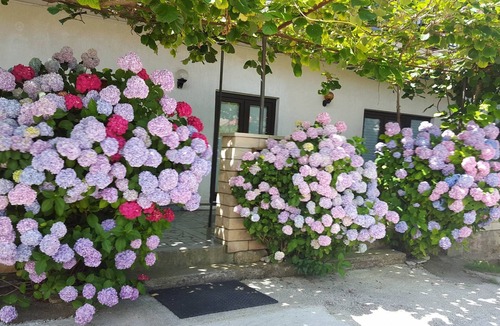 Valbandon Apartment | Ferinhaus Magdalena in a quiet location, 150 m to the beach