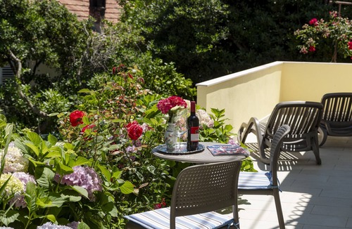 Molunat Apartment | Guest House Rooms Rose - Studio with Terrace
