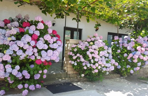 Valbandon House | Holiday house Magdalena in a quiet location, 150 m to the beach