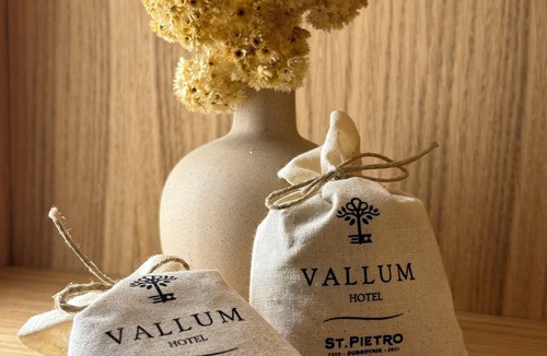 Cavtat Hotel | Hotel Vallum by St.Pietro