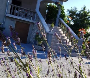 Jadrtovac Apartment | Maslina Apartment