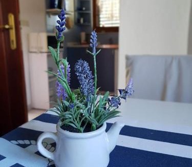 Jadrtovac Apartment | Maslina Apartment
