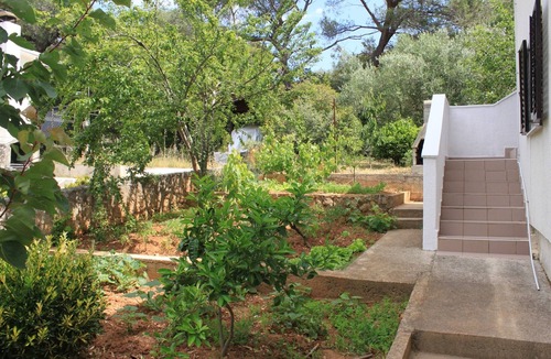 Artatore Apartment | One bedroom apartment with air-conditioning Artatore, Lošinj (A-8007-b)