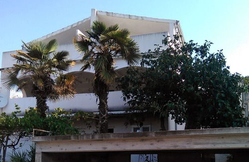 Tijesno Apartment | One bedroom apartment with terrace and sea view Tisno, Murter (A-814-c)