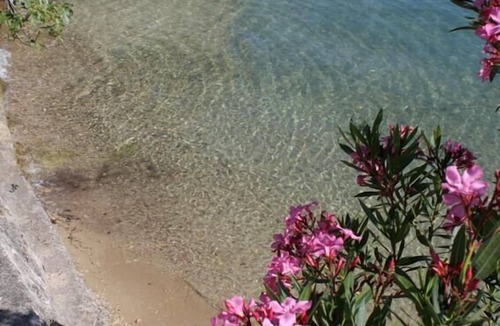 Supetarska Draga Apartment | One bedroom apartment with balcony and sea view Supetarska Draga - Gornja, Rab (A-13645-c)