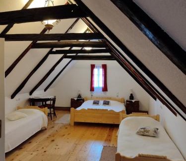 Sisak House | Sobe i Apartmani Barić - Rooms And Apartment