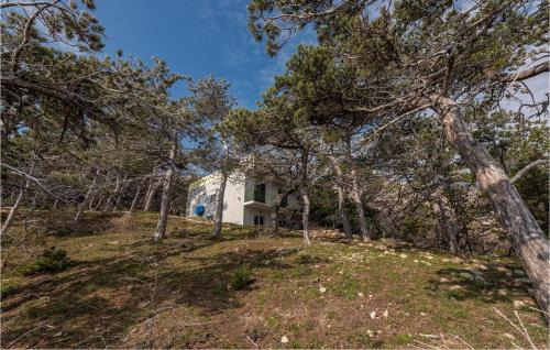 Bosana Apartment | Stunning Apartment In Novalja With Wifi