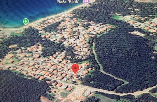 Borik Apartment | Villa Eucaliptus Istrien near the beach