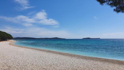 Valbandon Apartment | Vita Apartment - 2 bedrooms, 67m2, terrace