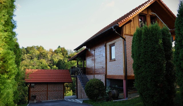 A pleasant house, surrounded by greenery in Croatia with a hot tub and sauna
