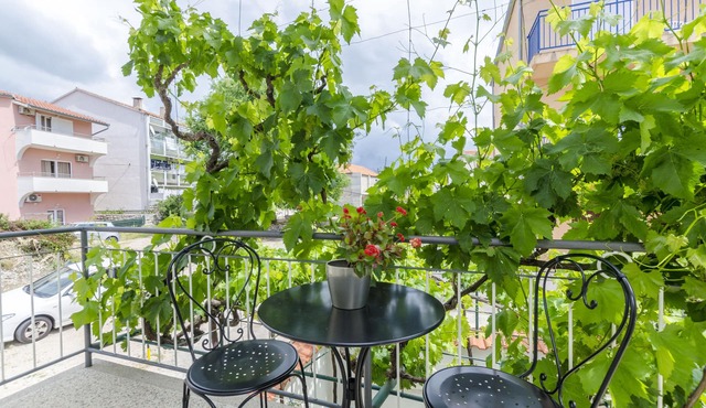 Apartment Antonija (15346-A1) - Primosten