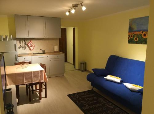 Apartment Branka