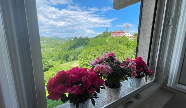 Apartment Kaštel