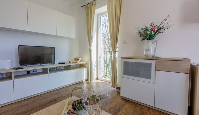 Apartment Nika