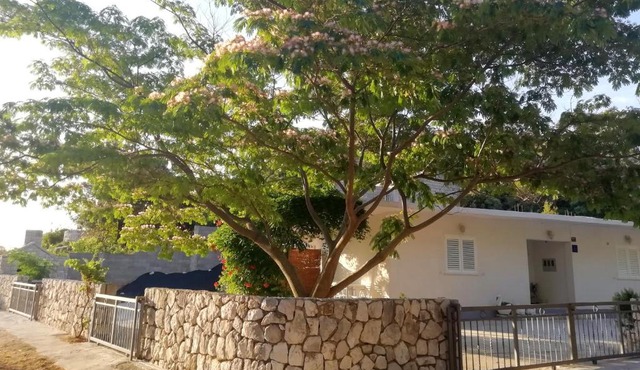 Apartments by the sea Cove Saplunara, Mljet - 4896