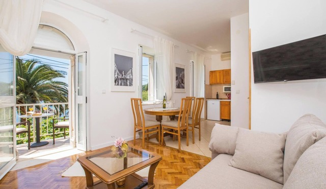 Apartments Vidak