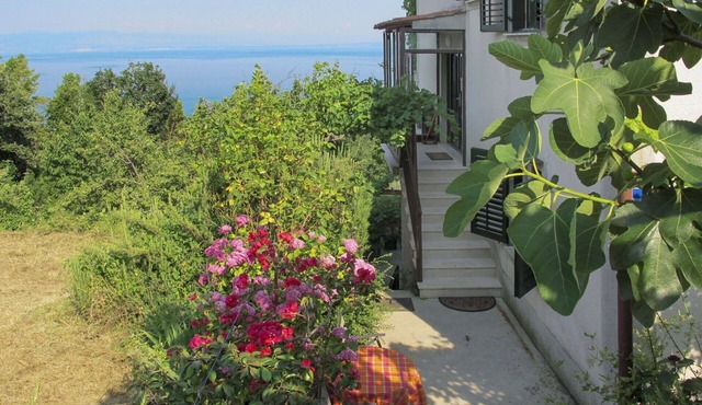 Cosy apartment for 4 guests with WIFI, A/C, TV and terrace
