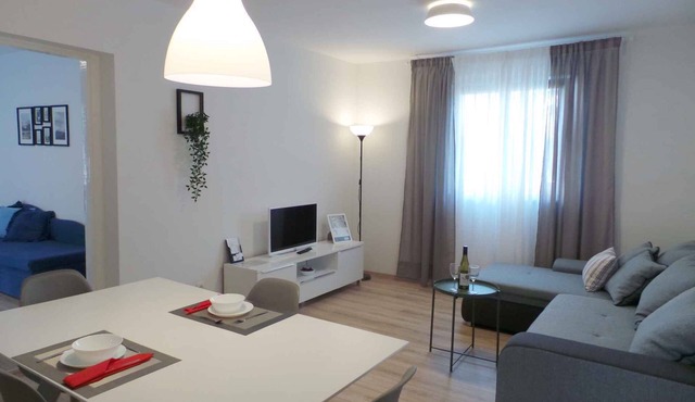 Holiday apartment with internet access