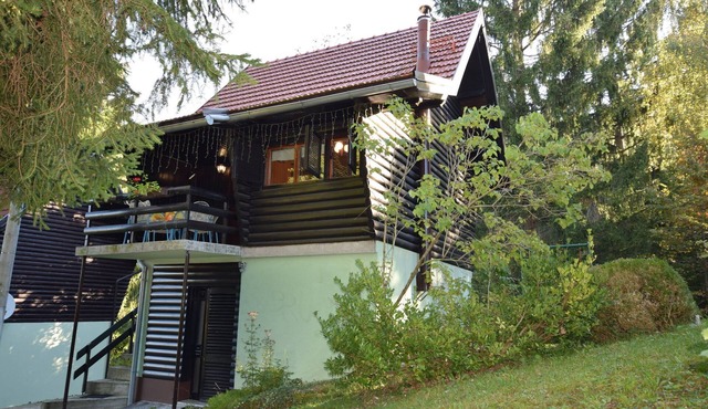 Holiday Home in Vrbovsko near Kamačnik Trail