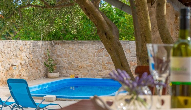 Holiday house with pool and whirlpool Sara
