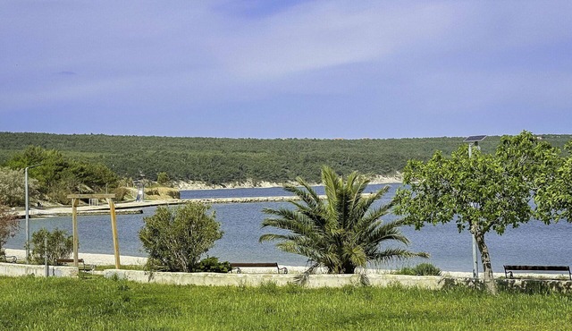 Nice apartment for 4 people with WIFI, A/C, TV, terrace and pets allowed