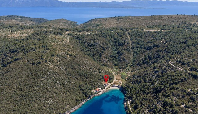One bedroom apartment near beach Cove Mala Pogorila, Hvar (A-27650-d)