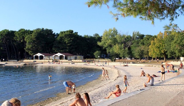One bedroom apartment with balcony Pula (A-22040-c)