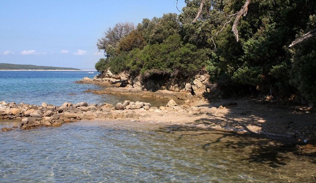 One bedroom apartment with terrace and sea view Supetarska Draga - Gonar, Rab (A-4987-c)