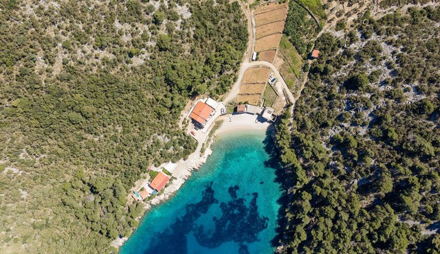 Studio flat near beach Cove Mala Pogorila, Hvar (AS-27650-a)