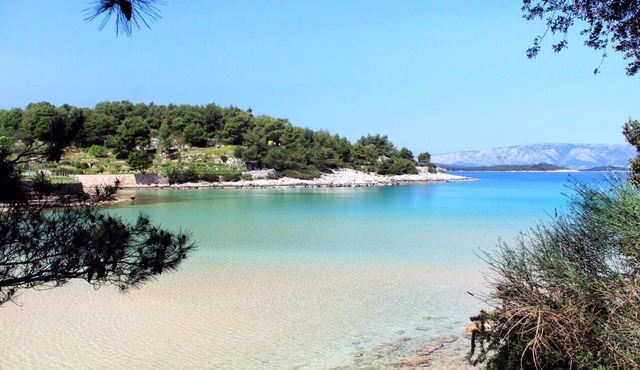 Studio flat with balcony and sea view Jelsa, Hvar (AS-8798-a)