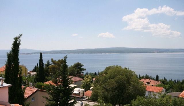 Studio flat with terrace and sea view Dramalj, Crikvenica (AS-5534-b)