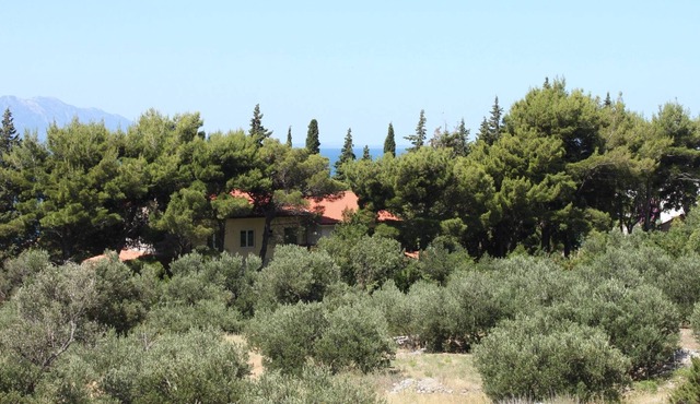 Studio flat with terrace Gradac, Makarska (AS-6881-a)