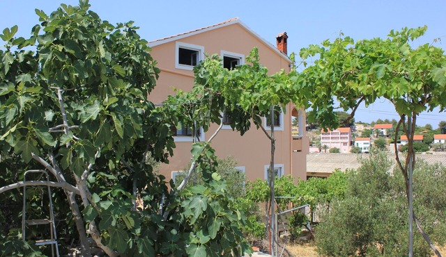 Studio flat with terrace Sali, Dugi otok (AS-8121-a)