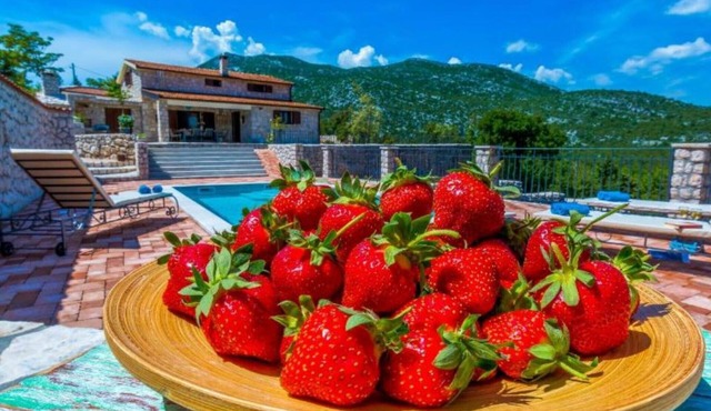 Villa with swimming pool