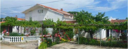 Apartmani 