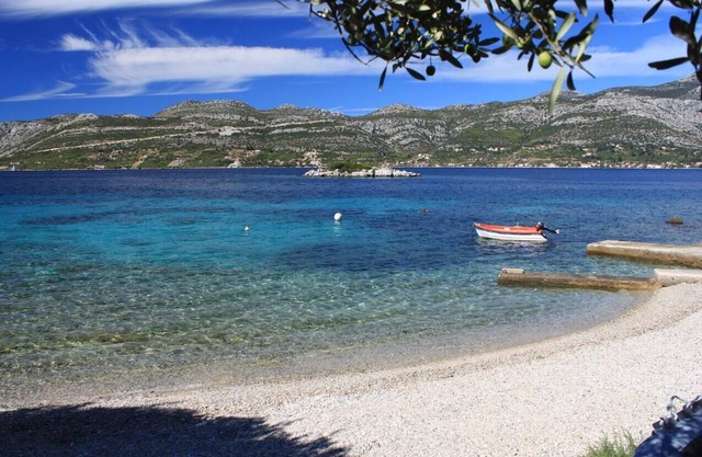One bedroom apartment near beach Tri Žala, Korčula (A-174-a)