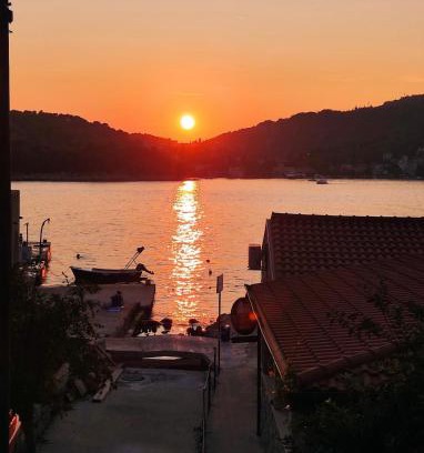 Stikovica Apartment | Green Sea Villa - Wild Orange Dubrovnik