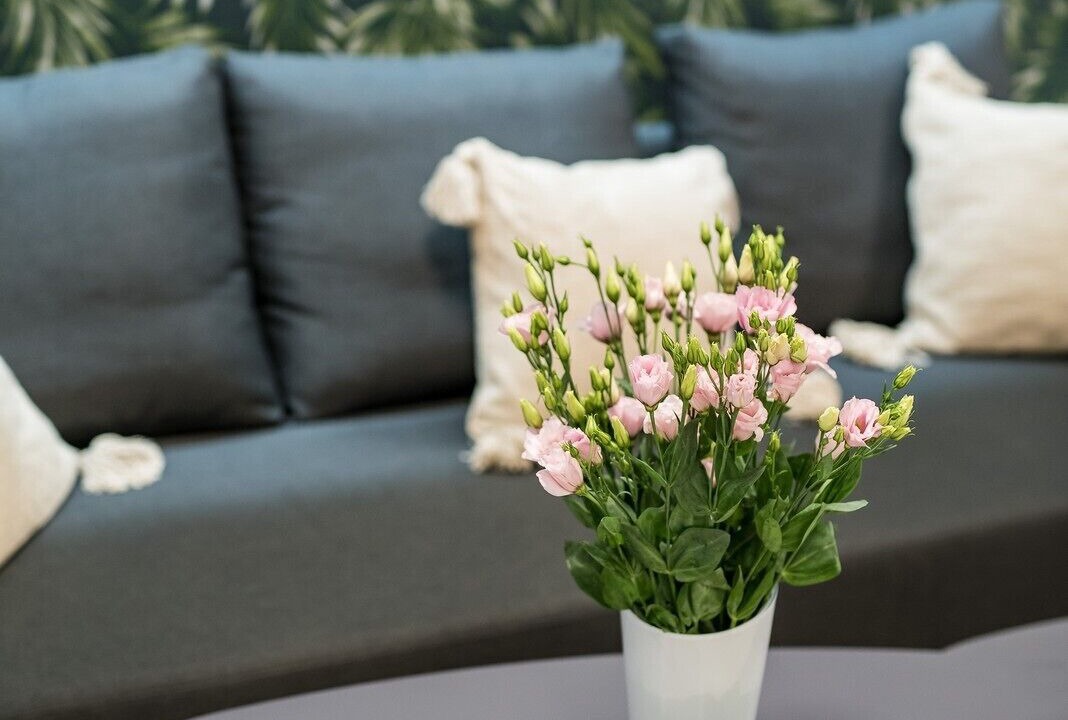 Lapad Hotel | Spectrum Deluxe Rooms Dubrovnik